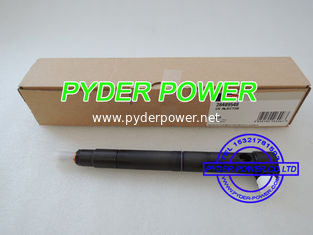 China DELPHI INJECTOR 28264951 / 28489548 El producto debe ser sometido a un tratamiento de alta calidad. proveedor