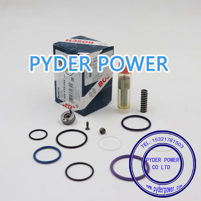 China BOSCH Repair kits F00041N044 proveedor
