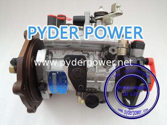 China PUMPA DE FUEL DELPHI 8923A310W FORD 98VB9A543AB El motor de la bomba de combustible del DELPHI 8923A310W es el motor de la bomba de combustible del Ford 98VB9A543AB proveedor