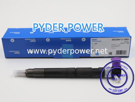 China INYECTOR DELPHI 28229873 KIA 33800-4A710 proveedor