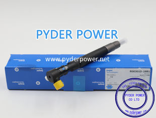 China Delphi inyector de tren común EMBR00301D / R00301D A6710170121 6710170121 para SSANGYONG proveedor