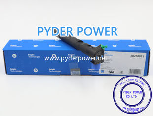 China INYECTOR DELPHI 28230891 MERCEDES BENZ A6510701387 proveedor