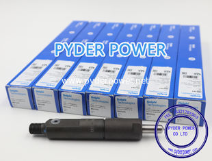 China INYECTOR DELPHI  B03101  PERKINS 2645A060 proveedor