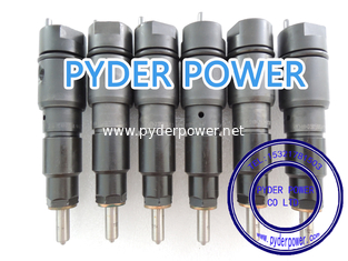 China Inyector BOSCH 0432191362 MTU 0010108651 proveedor