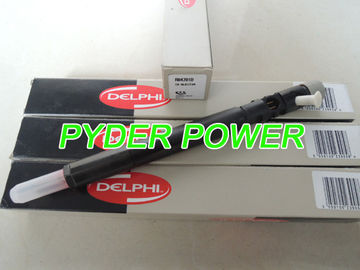 Inyector del tren común DELPHI EJBR04701D R04701D A6640170221 1795FE25W19 6640170221 proveedor