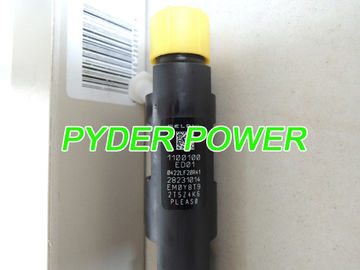 Inyector DELPHI 28231014 para el flotador de la Gran Muralla H6 1100100-ED01 proveedor